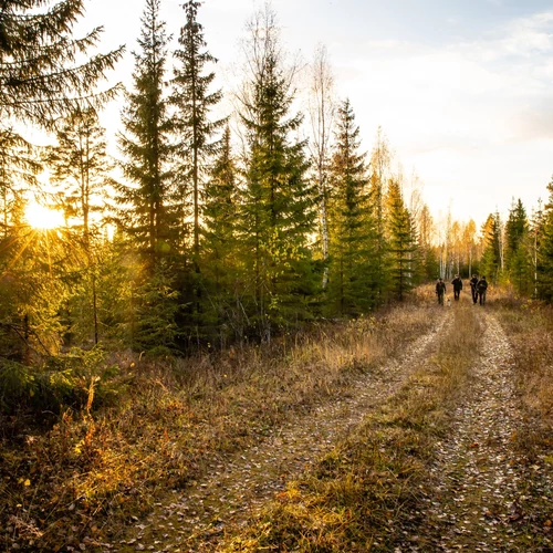 FJÄLLRÄVEN Puskatok